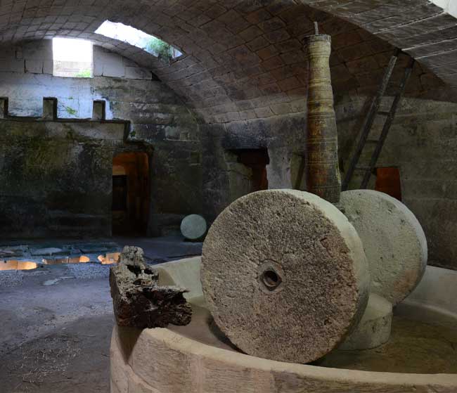 frantoio-ipogeo-produzione-olio-masseria-rifisa-a-caprarica-di-lecce frantoio ipogeo produzione olio masseria rifisa a caprarica di lecce